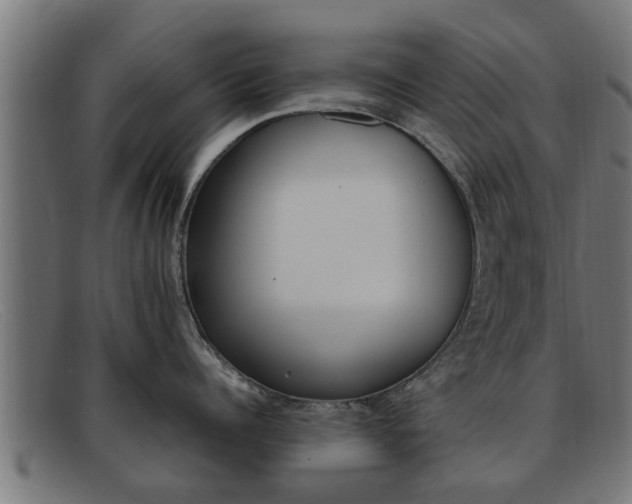 X0000091980960200709131409