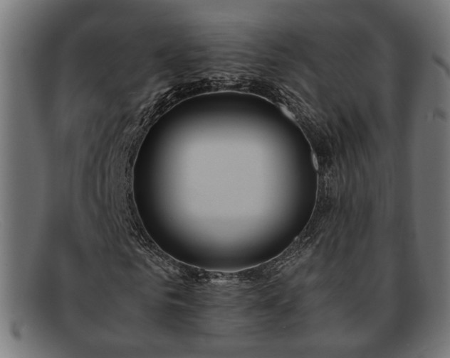 X0000091980961200709131409