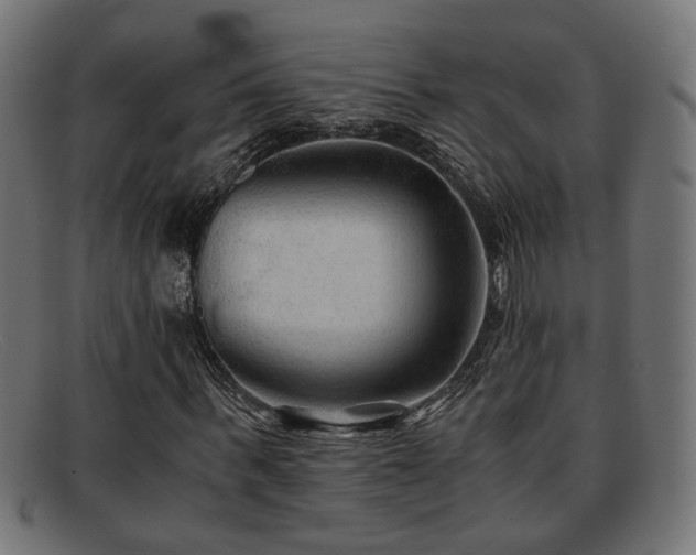 X0000091980963200709131409