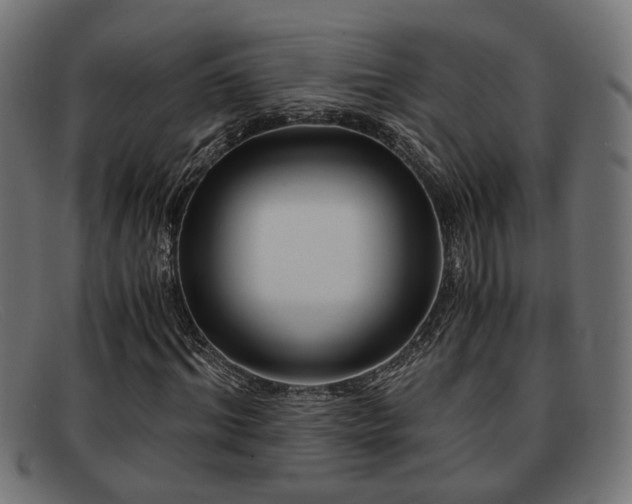 X0000091980964200709131409