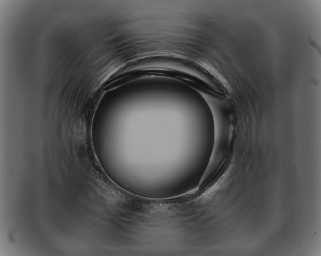 X0000091980969200709131409