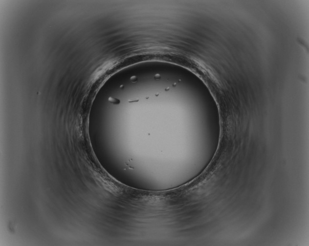 X0000091980970200709131409