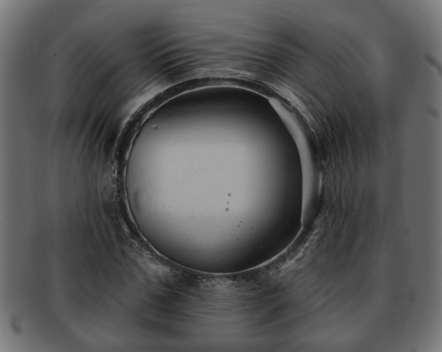 X0000091980971200709131409