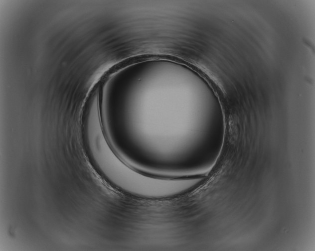 X0000091980972200709131409