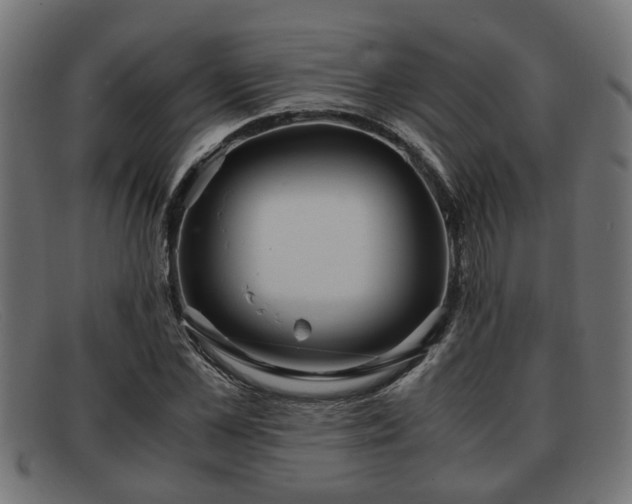 X0000091980973200709131409