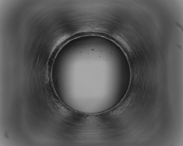 X0000091980974200709131409