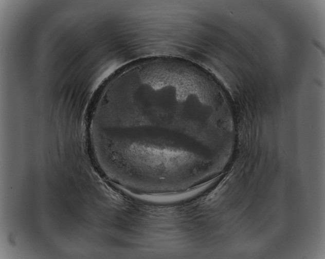 X0000091980975200709131409