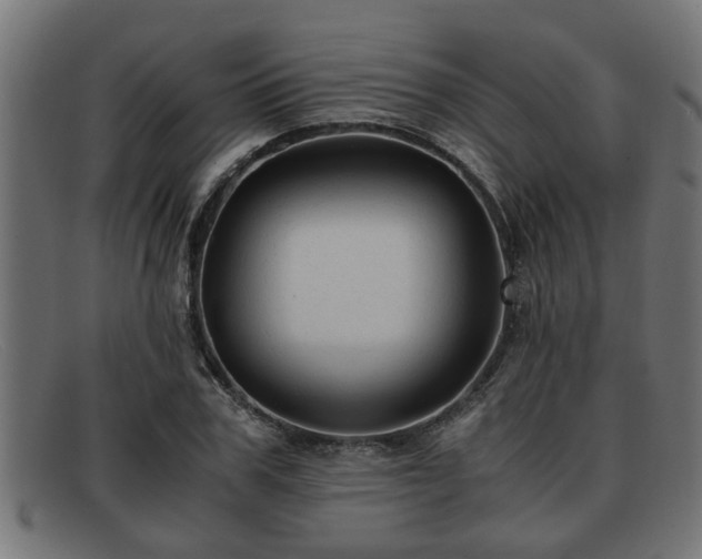 X0000091980979200709131409