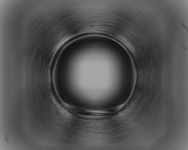 X0000091980980200709131409