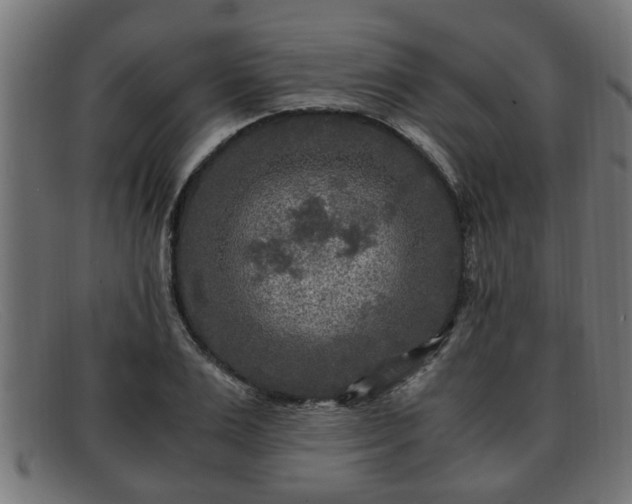 X0000091980983200709131409