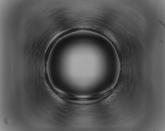 X0000091980984200709131409