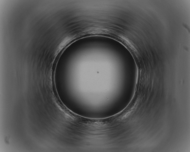 X0000091980986200709131409