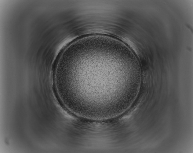 X0000091980987200709131408