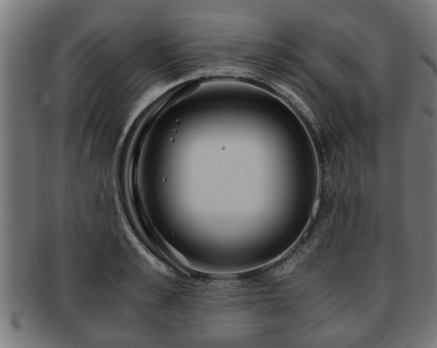 X0000091980989200709131408