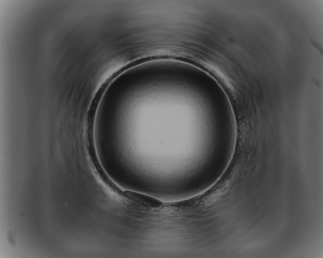 X0000091980991200709131408