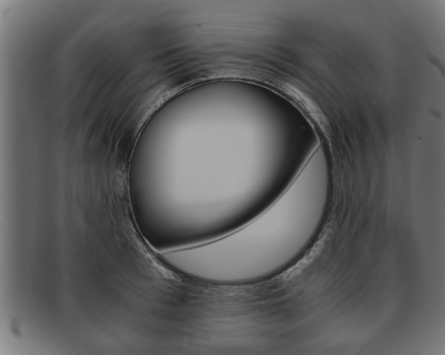 X0000091980993200709131408