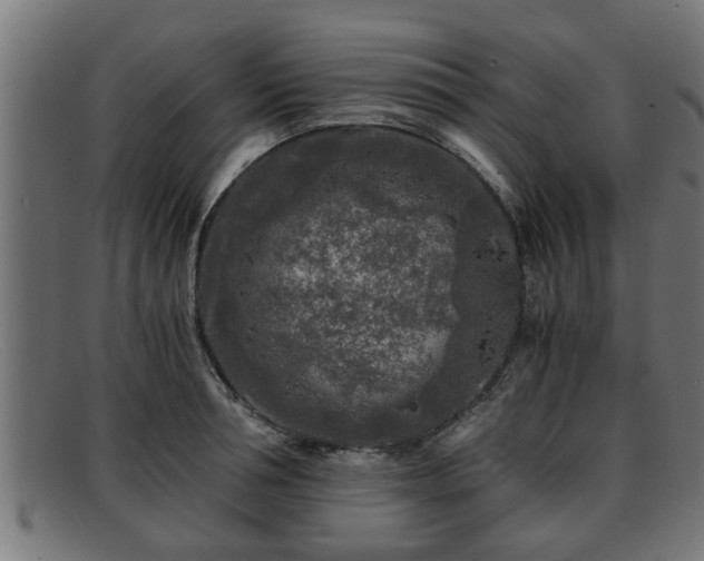 X0000091980994200709131408