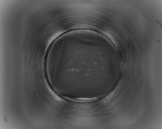 X0000091980995200709131408