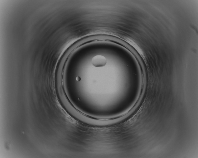 X0000091980996200709131408