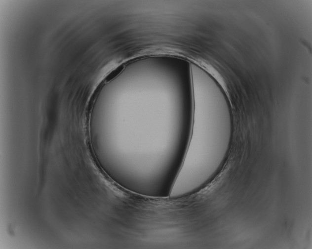 X0000091980997200709131408