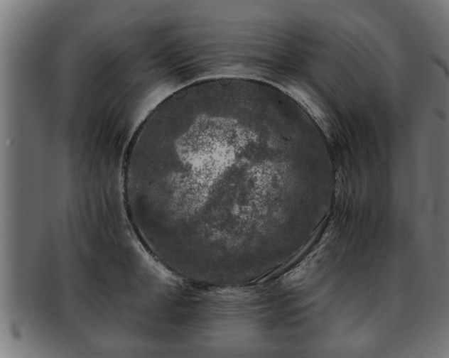 X0000091980998200709131408