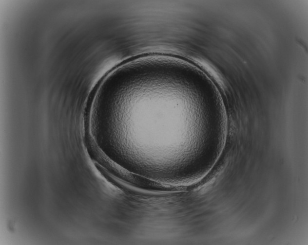 X0000091980999200709131408