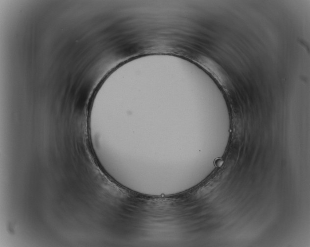 X0000091981000200709131408