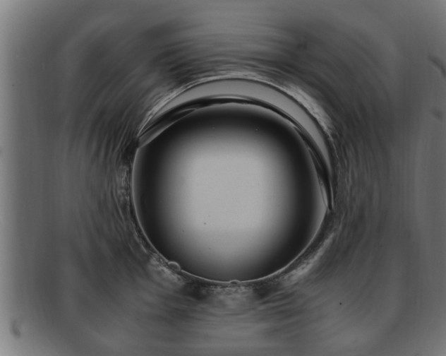 X0000091981001200709131408