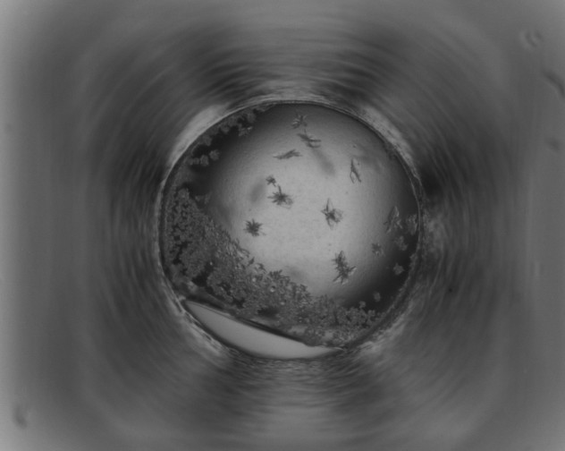 X0000091981002200709131408