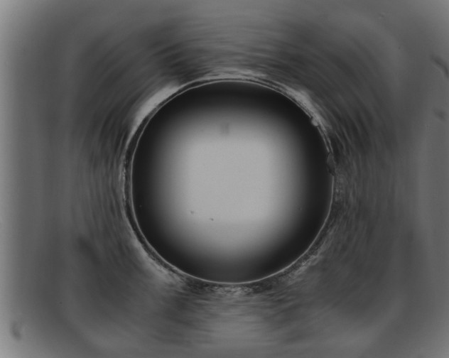 X0000091981003200709131408