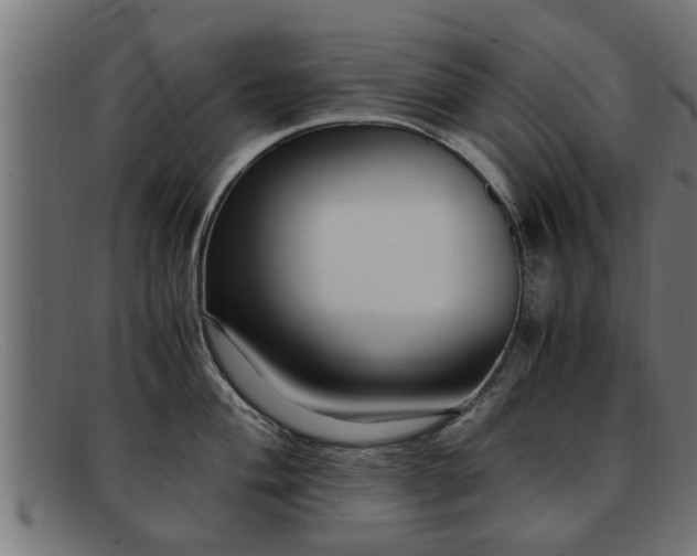 X0000091981004200709131408