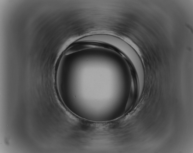 X0000091981005200709131408