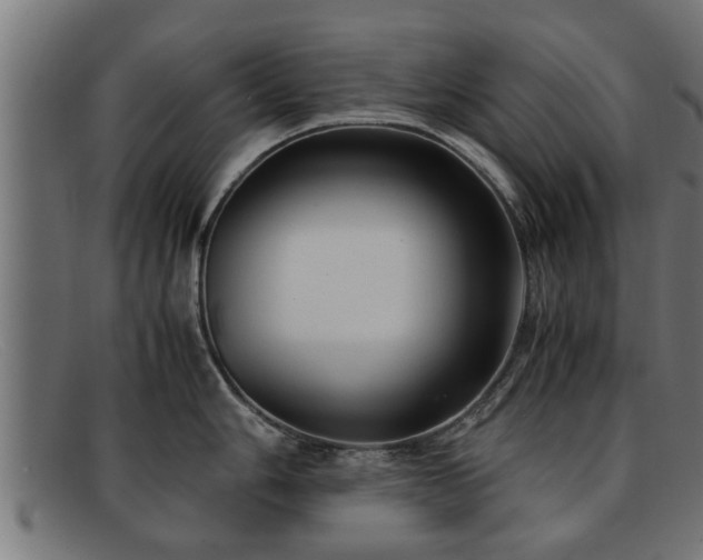 X0000091981006200709131408