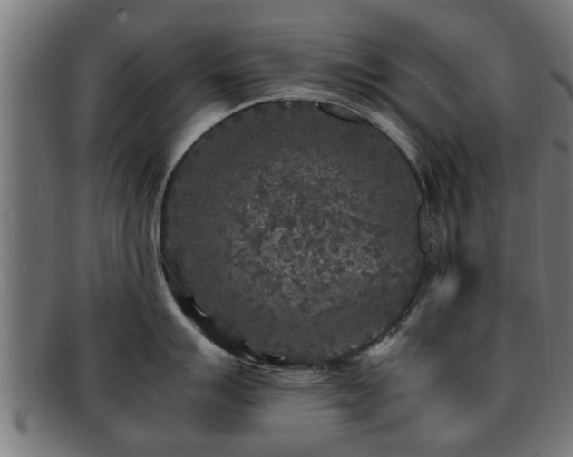 X0000091981007200709131408