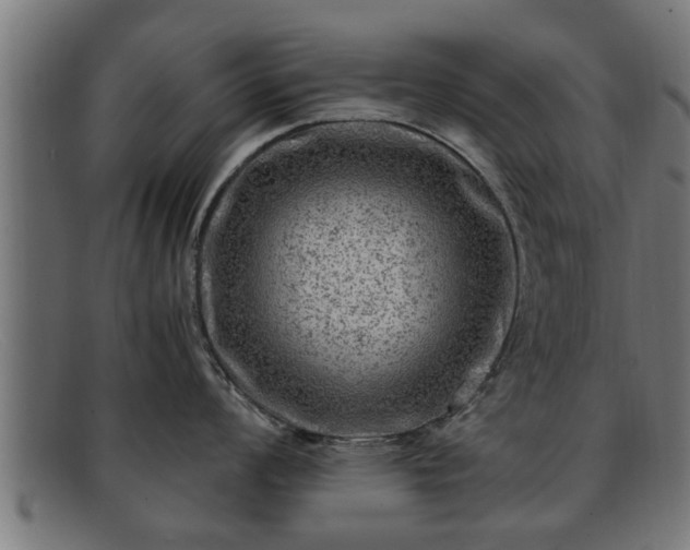 X0000091981008200709131408