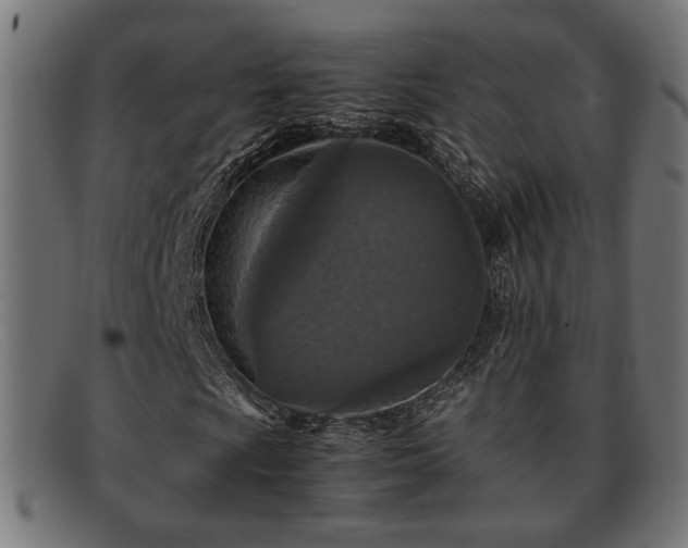 X0000091981009200709131408