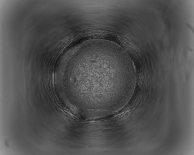 X0000091981010200709131408