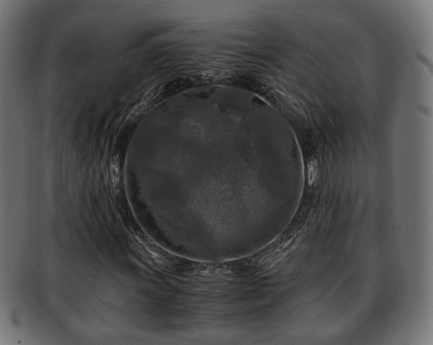 X0000091981011200709131408