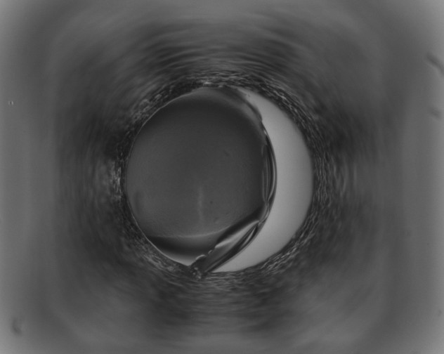 X0000091981013200709131408