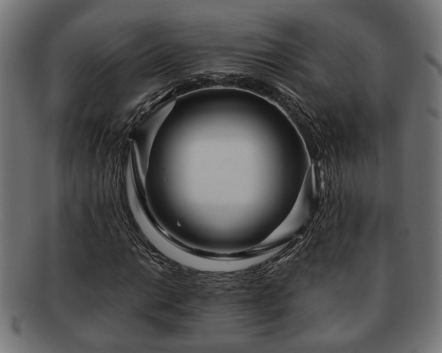 X0000091981014200709131408