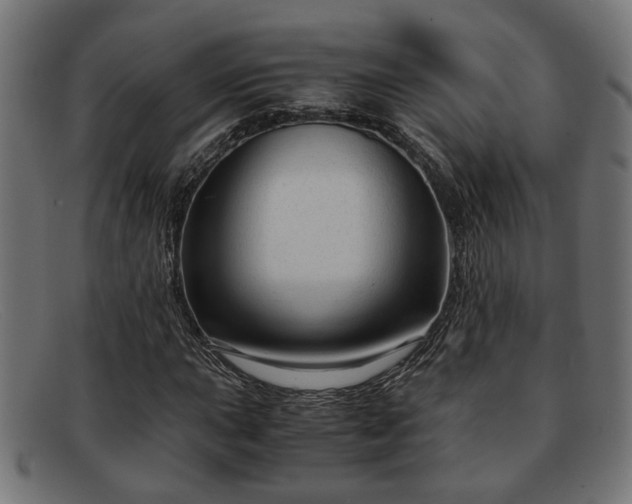 X0000091981015200709131408