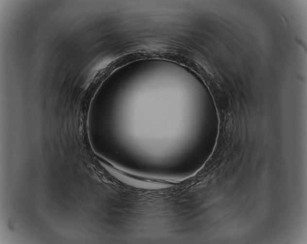 X0000091981016200709131408