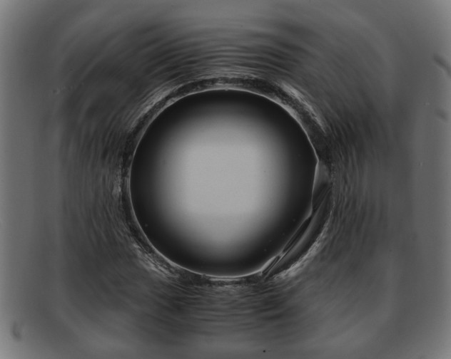 X0000091981017200709131408