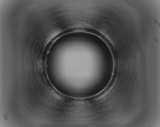 X0000091981018200709131408