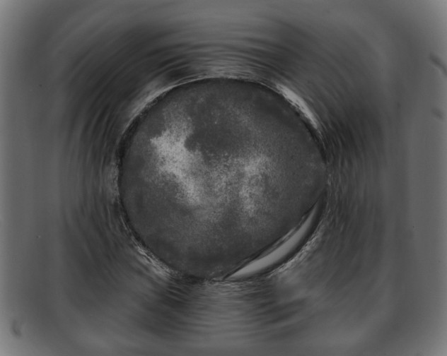 X0000091981019200709131408