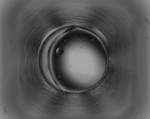 X0000091981020200709131408