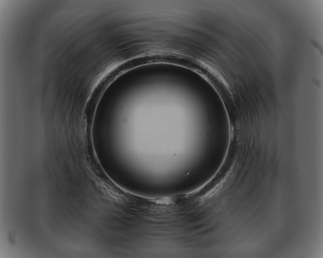 X0000091981021200709131408