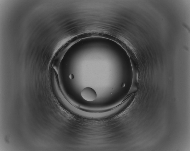 X0000091981022200709131408