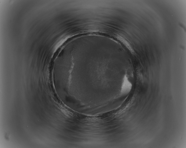 X0000091981023200709131408