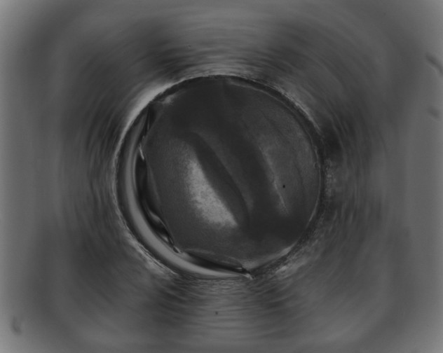 X0000091981024200709131408